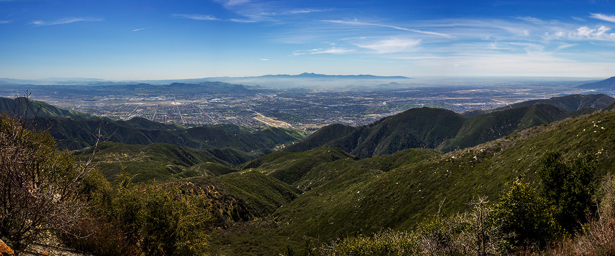 Banner image of Main